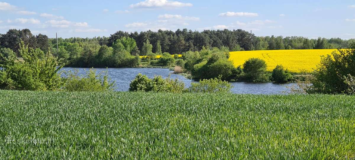Zemes ukio paskirties zemes sklypas - nuotraukos Nr. 5