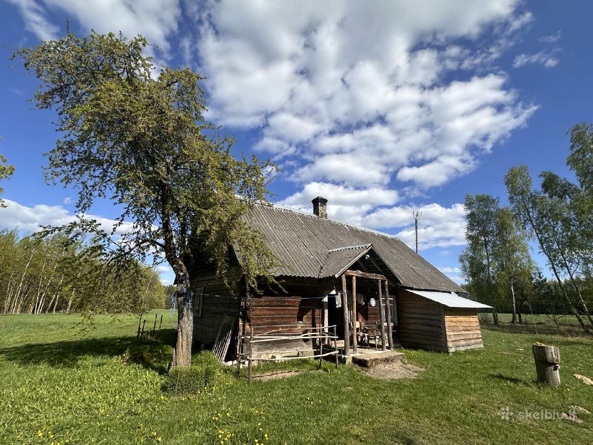 Sena autentiška sodyba vienkiemyje prie miško - nuotraukos Nr. 3