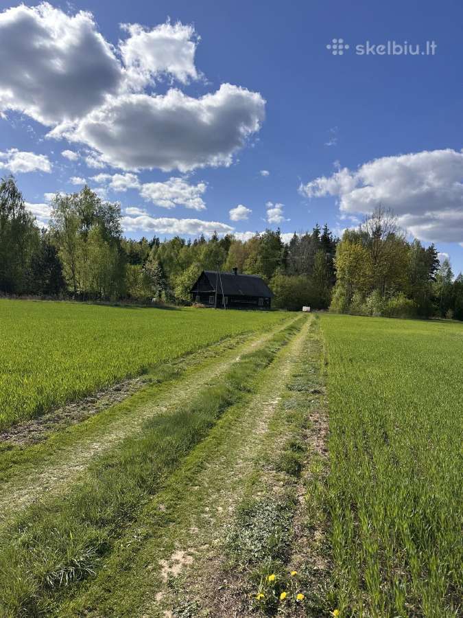 Sena autentiška sodyba vienkiemyje prie miško - nuotraukos Nr. 10
