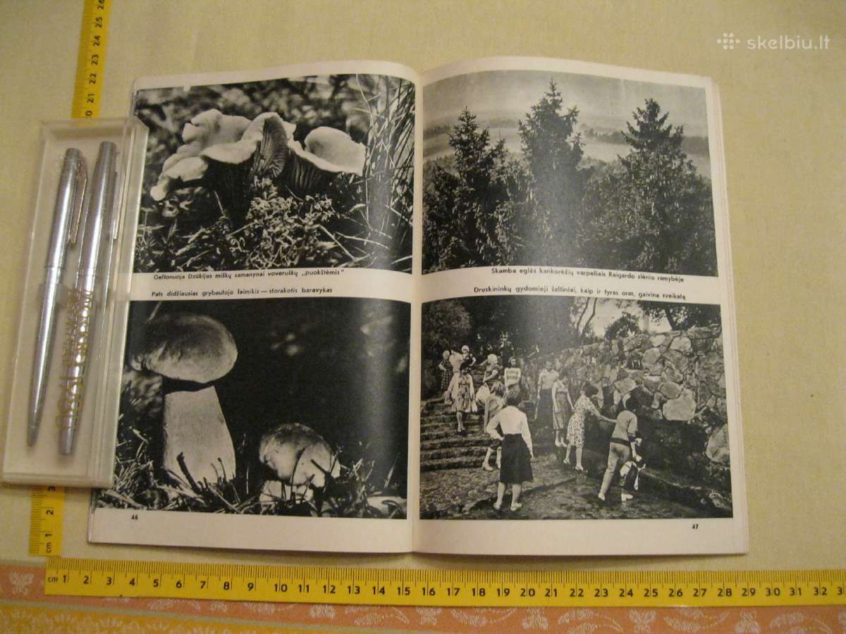 Knyga su daug foto. 1979 m. .zr. foto. - nuotraukos Nr. 8