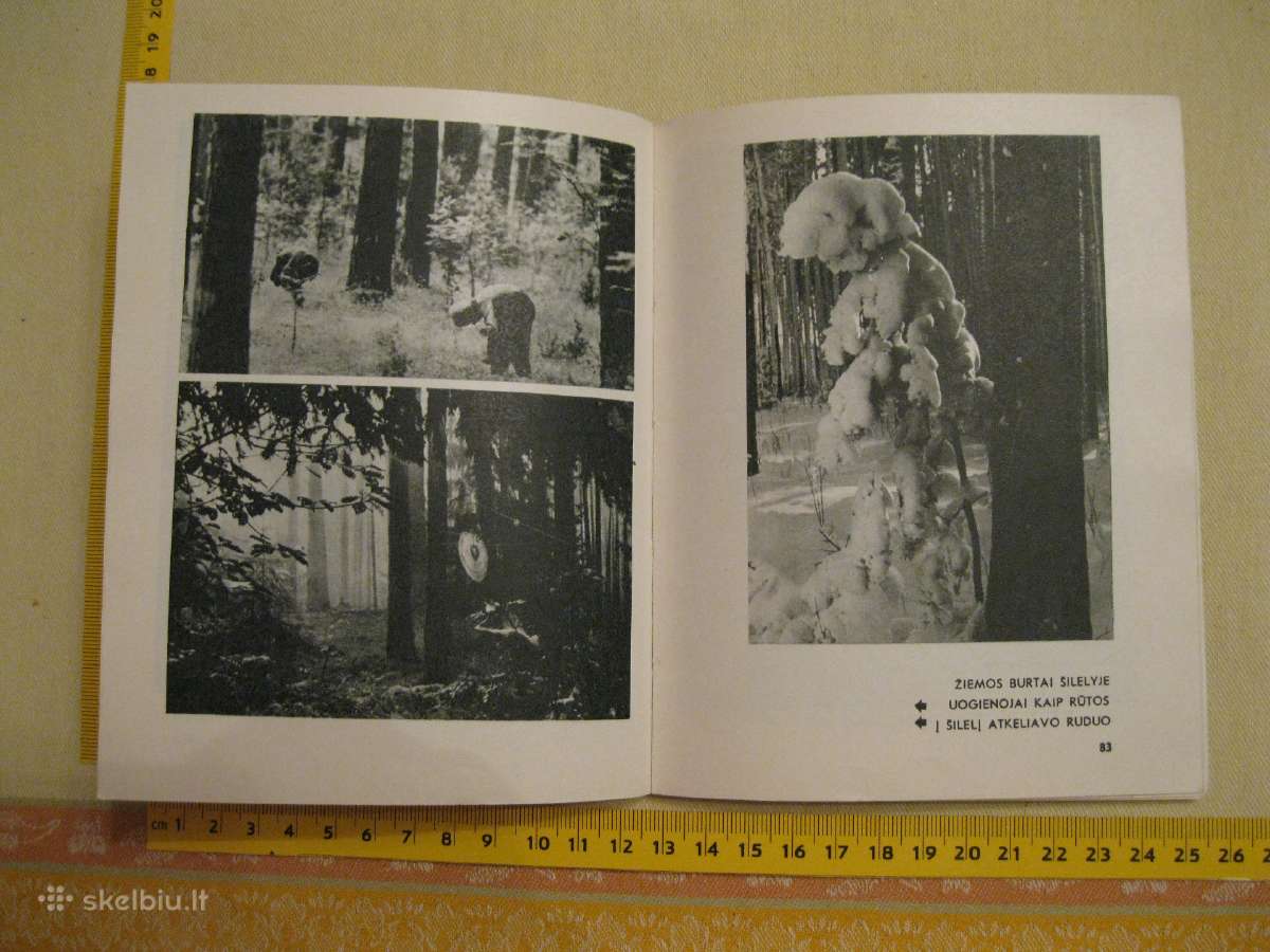 Knyga su daug foto . 1971 m. .zr. foto. - nuotraukos Nr. 4