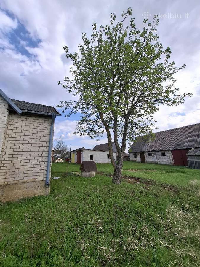 Parduodamas mūrinis namas Čedasų mstl. su žeme - nuotraukos Nr. 14