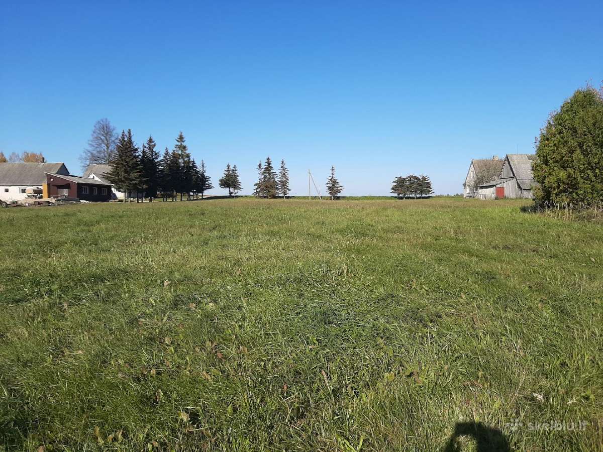 Parduodamas mūrinis namas Čedasų mstl. su žeme - nuotraukos Nr. 16