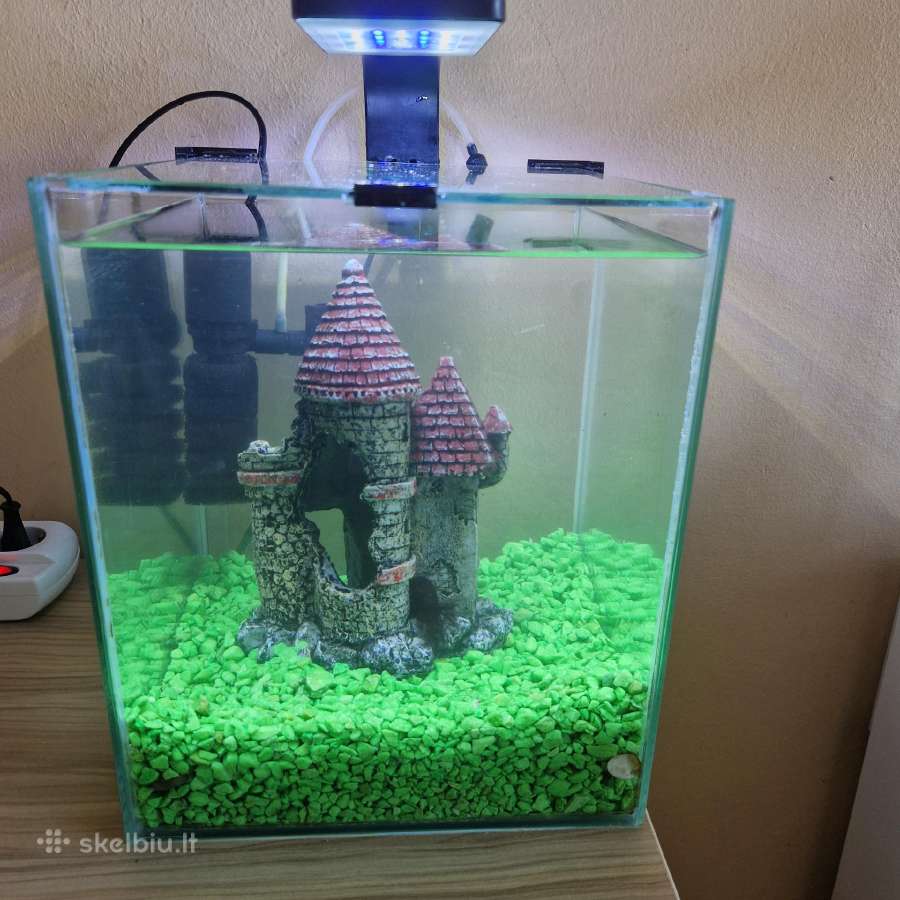 Akvariumas