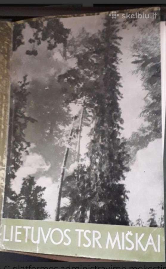 Lietuvos Tsr miškai.l. Kairiūkštis - nuotraukos Nr. 2