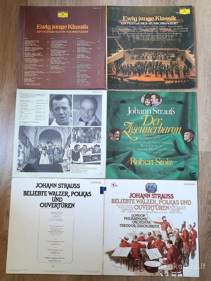 Klasikinė muzika - nuotraukos Nr. 8