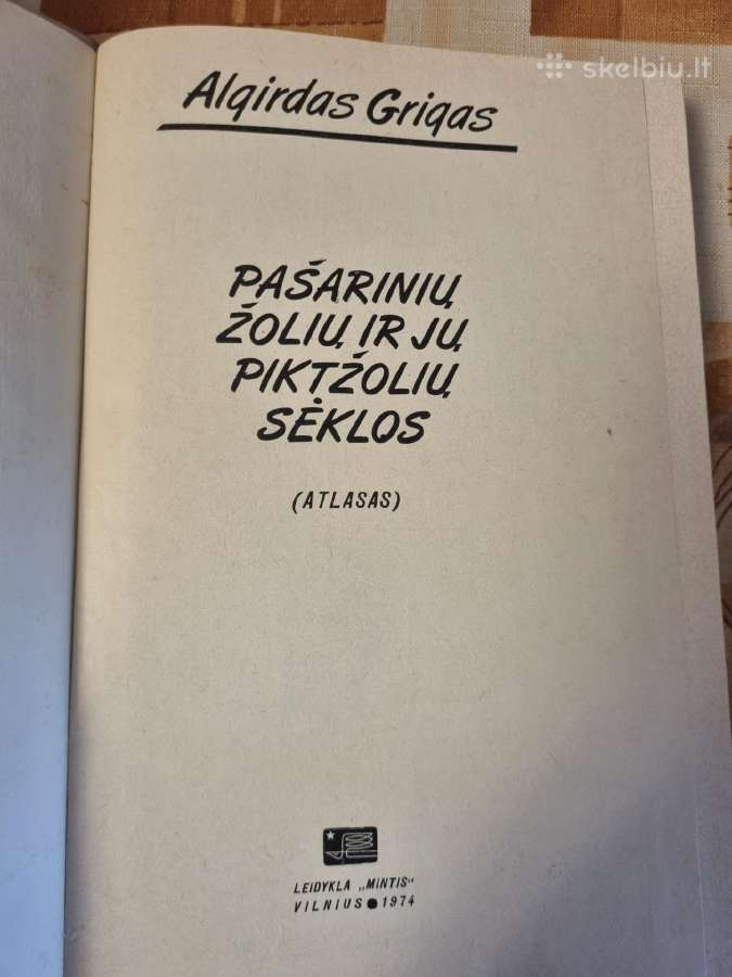 Pašarinių žolių ir jų piktžolių sėklos - nuotraukos Nr. 2