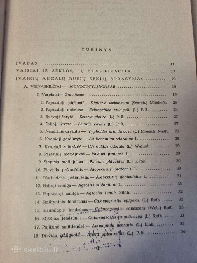 Pašarinių žolių ir jų piktžolių sėklos - nuotraukos Nr. 3