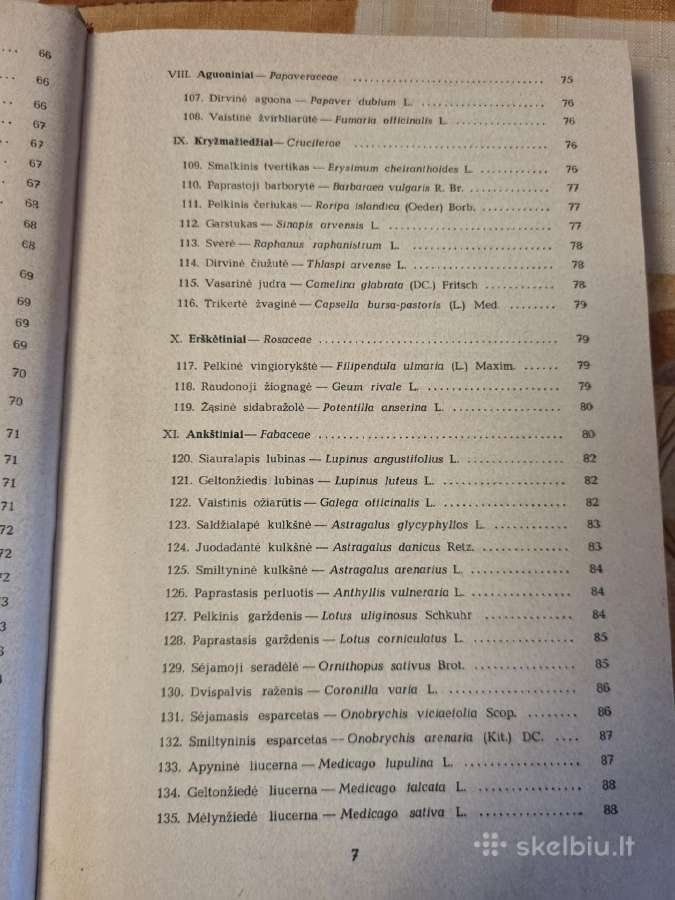 Pašarinių žolių ir jų piktžolių sėklos - nuotraukos Nr. 7