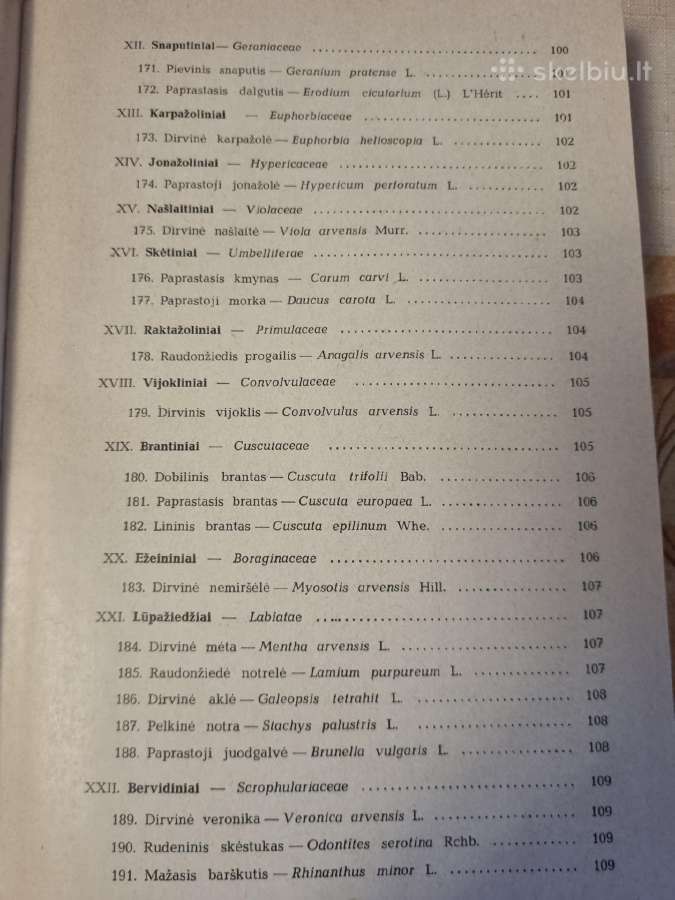 Pašarinių žolių ir jų piktžolių sėklos - nuotraukos Nr. 9