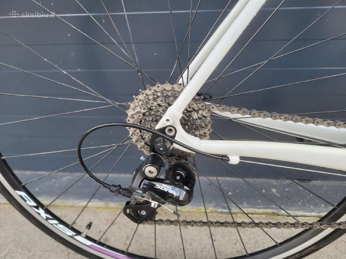 Specialized Dolce - nuotraukos Nr. 10