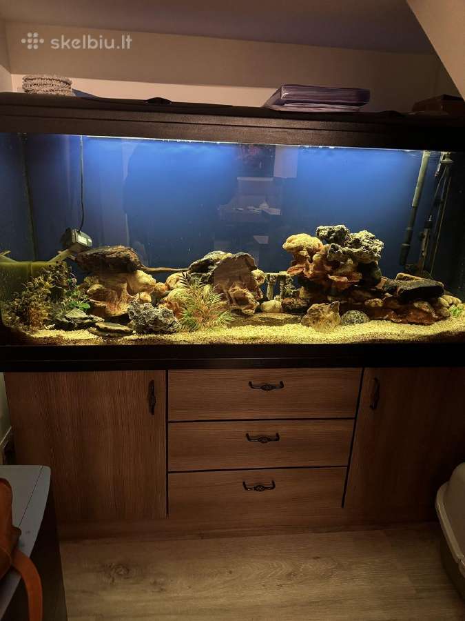 Akvariumas