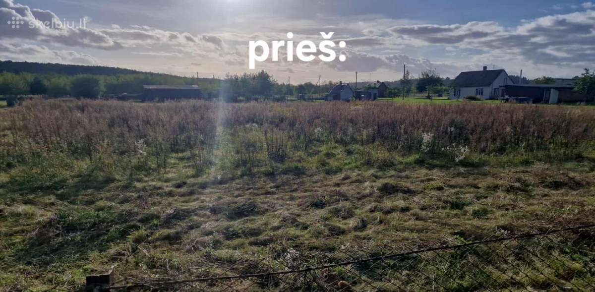 Žolės pjovimas.gyvatvoriu karpimas. - nuotraukos Nr. 6