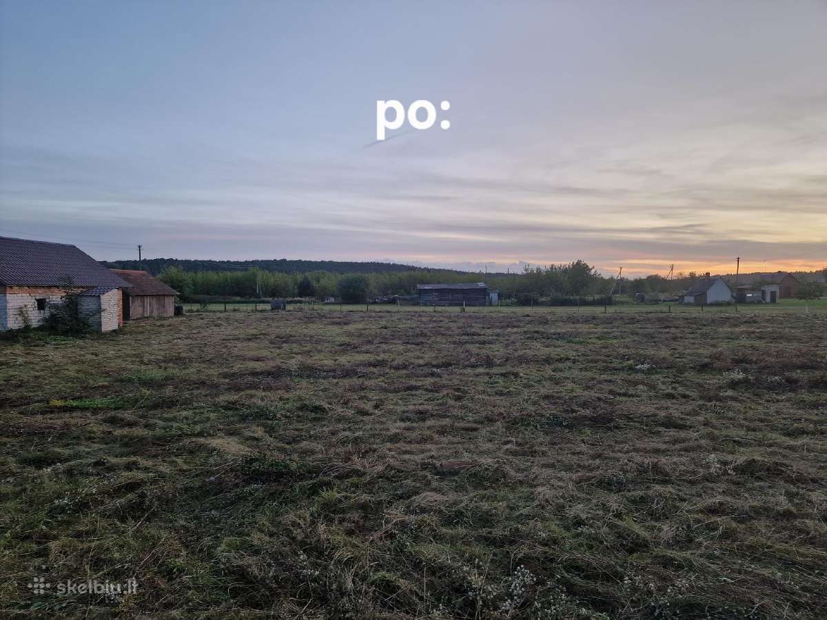 Žolės pjovimas.gyvatvoriu karpimas. - nuotraukos Nr. 7