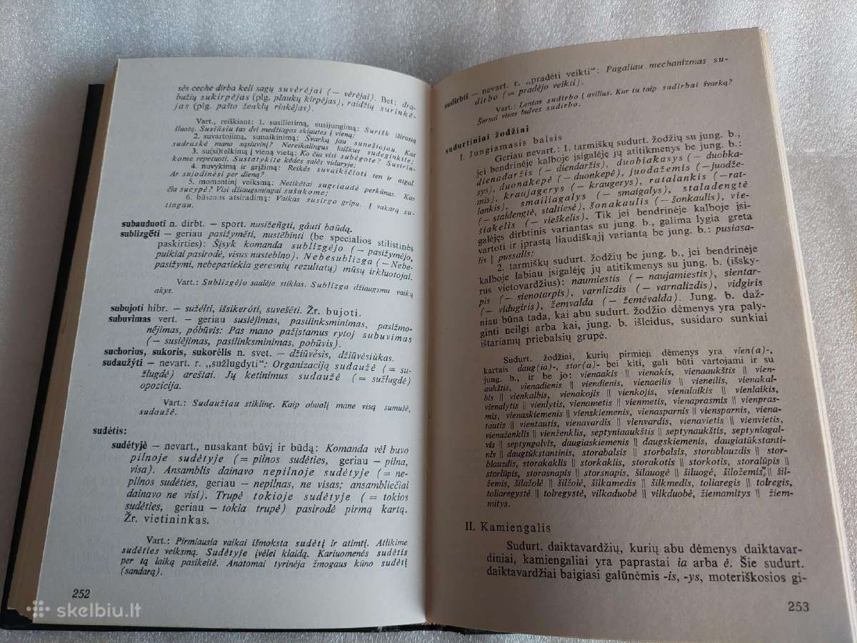 Kalbos praktikos patarimai - nuotraukos Nr. 4