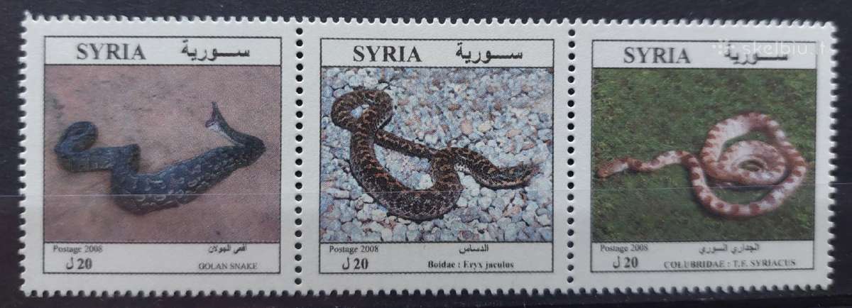 Sirija 2008 gyvates, švarus, Michel Nr.2297-2299