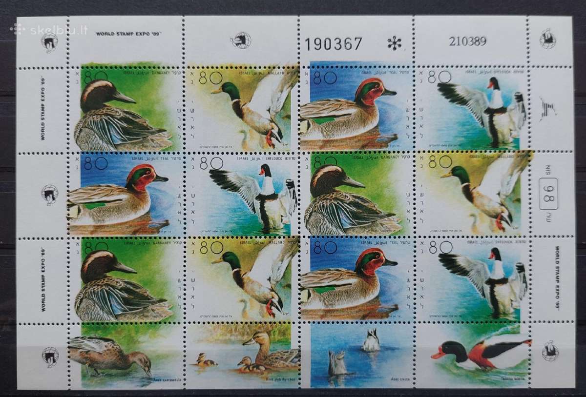 Izraelis 1989 antys, švarus,lapelis Michel Nr.1131