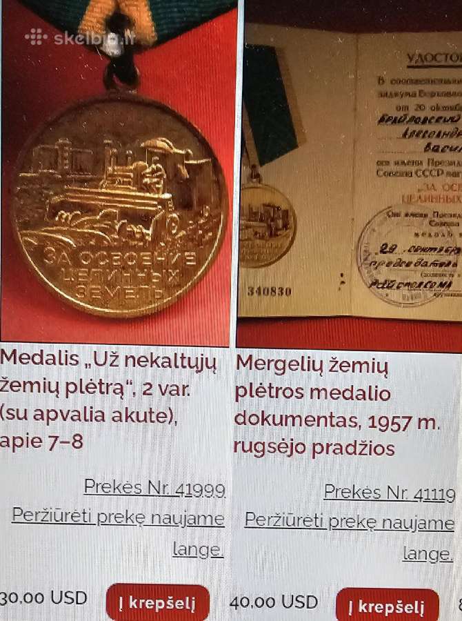 Medalis su knygute. - nuotraukos Nr. 4