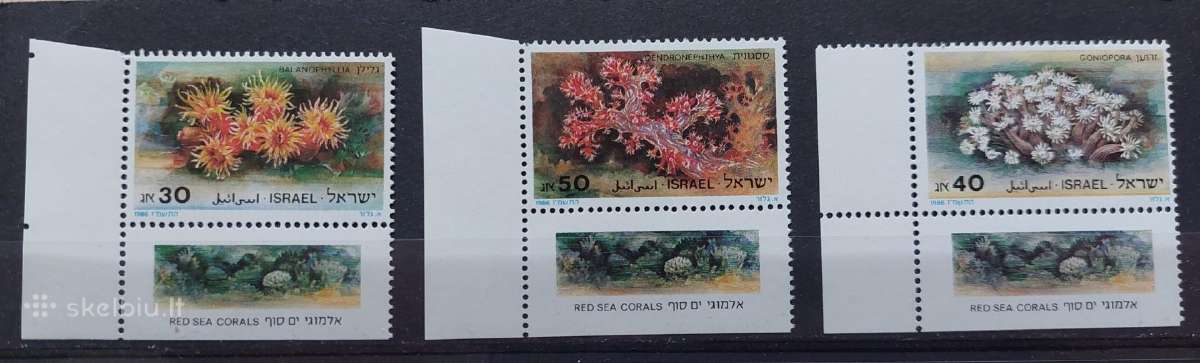 Izraelis 1986 koralai, švarus, Michel 1027-1029