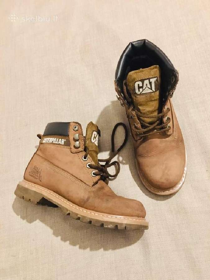 Cat auliniai