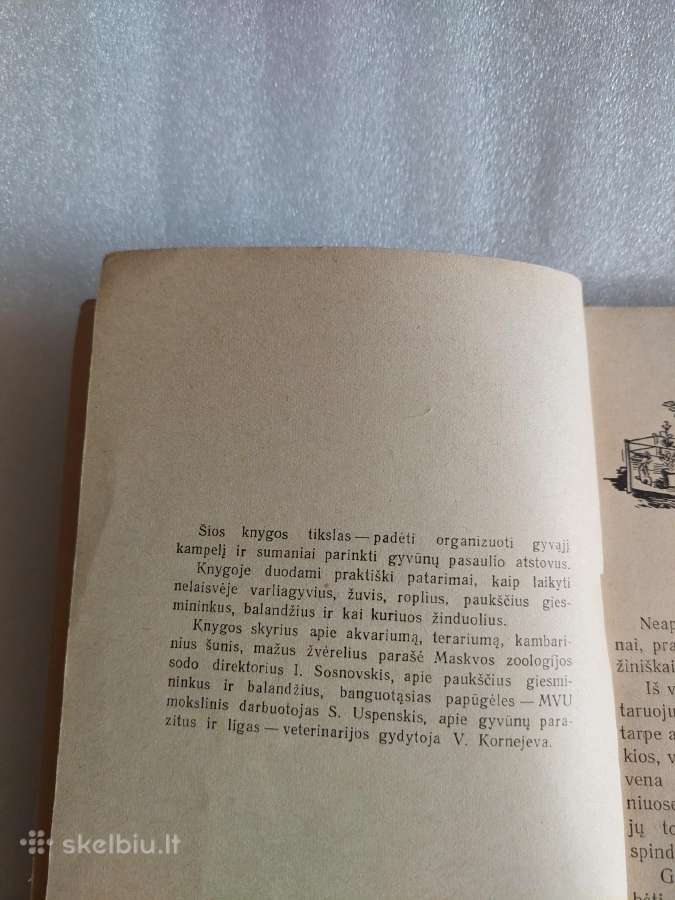 Namų ir mokyklos gyvasis kampelis - nuotraukos Nr. 3