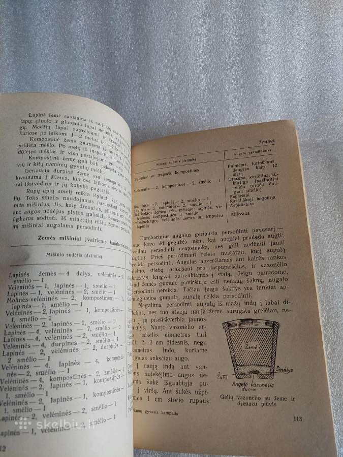 Namų ir mokyklos gyvasis kampelis - nuotraukos Nr. 6