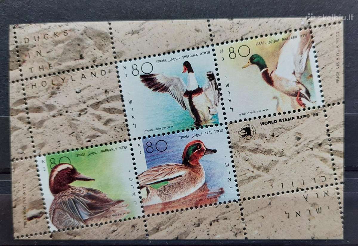 Izraelis 1989 antys , švarus, Michel block40