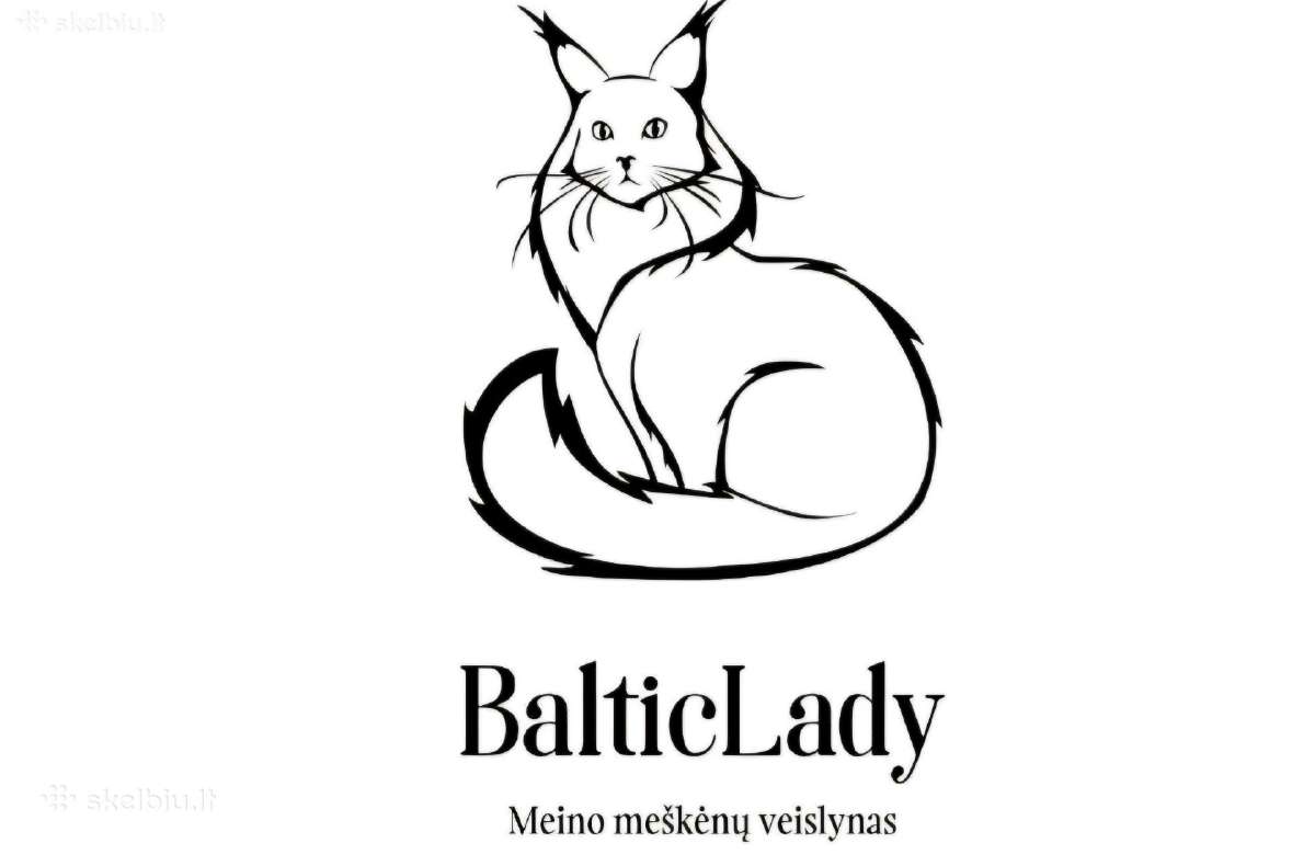 Kilmimga Meino Meškėnė Equa - nuotraukos Nr. 10