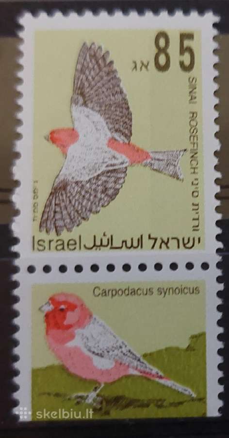Izraelis 1994 paukščiai , švarus Michel 1286