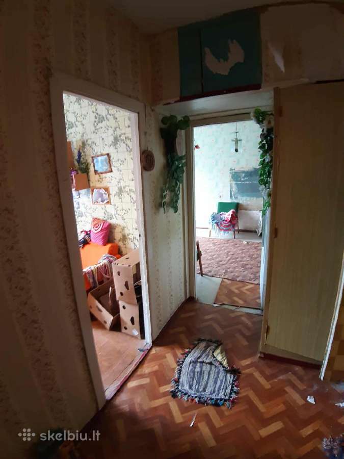 1 kamb. butas prie ežerų, Didžiasalis, Ignalinos r - nuotraukos Nr. 3