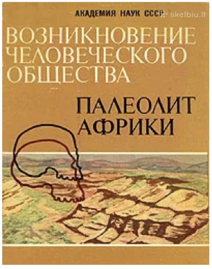 Paleolit mira. Issledovaniya po arkheologii drevne