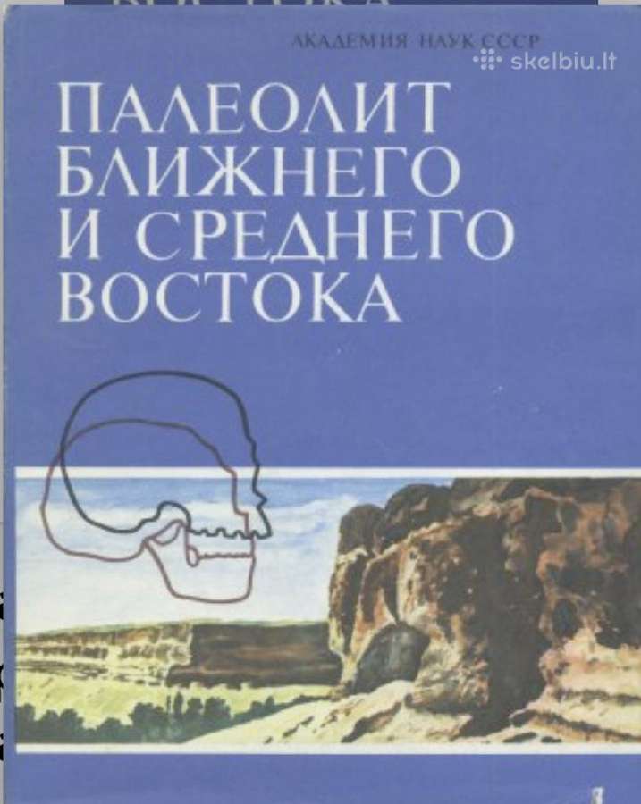 Paleolit mira. Issledovaniya po arkheologii drevne - nuotraukos Nr. 2