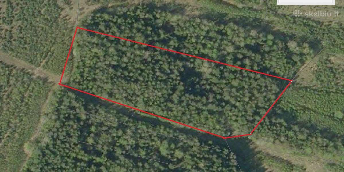 Pigiai 2 iškirsti miško 2.45 ha. sklypai. 3100 e