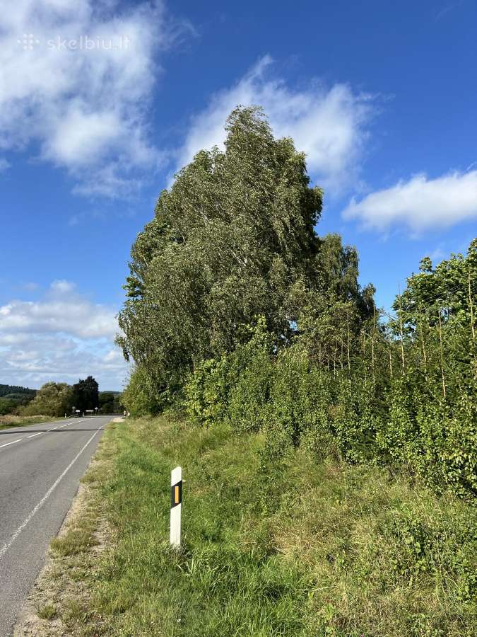 23a. sklypas šalia Trakų su namu rekonstrukcijai - nuotraukos Nr. 7
