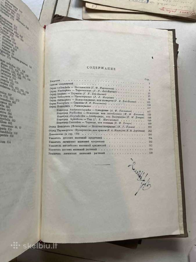 Nasekomyye i kleshchi vrediteli sel'skokhozyaystve - nuotraukos Nr. 4