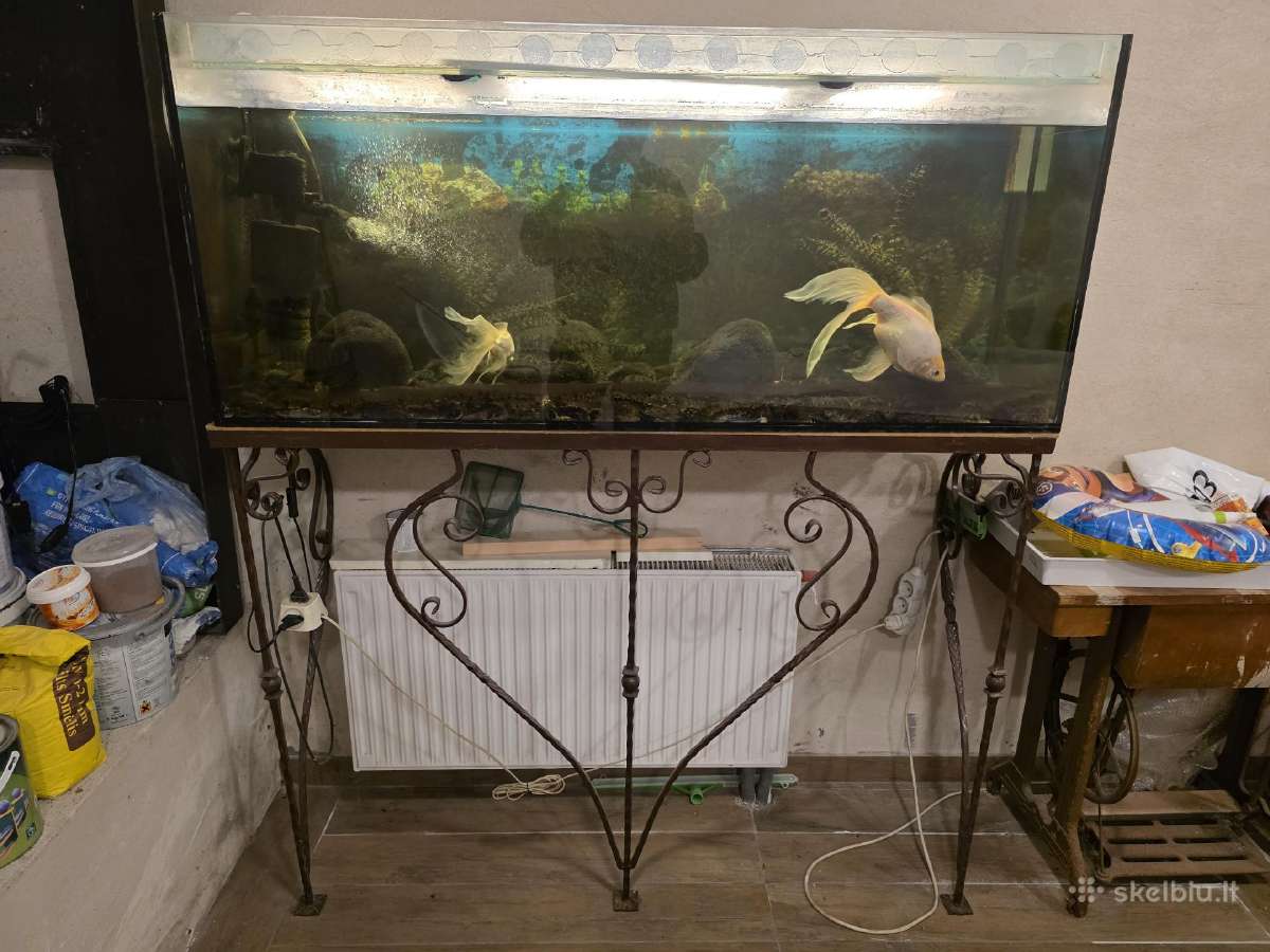 Akvariumas 300 Ltr, stovu ir įranga - nuotraukos Nr. 3