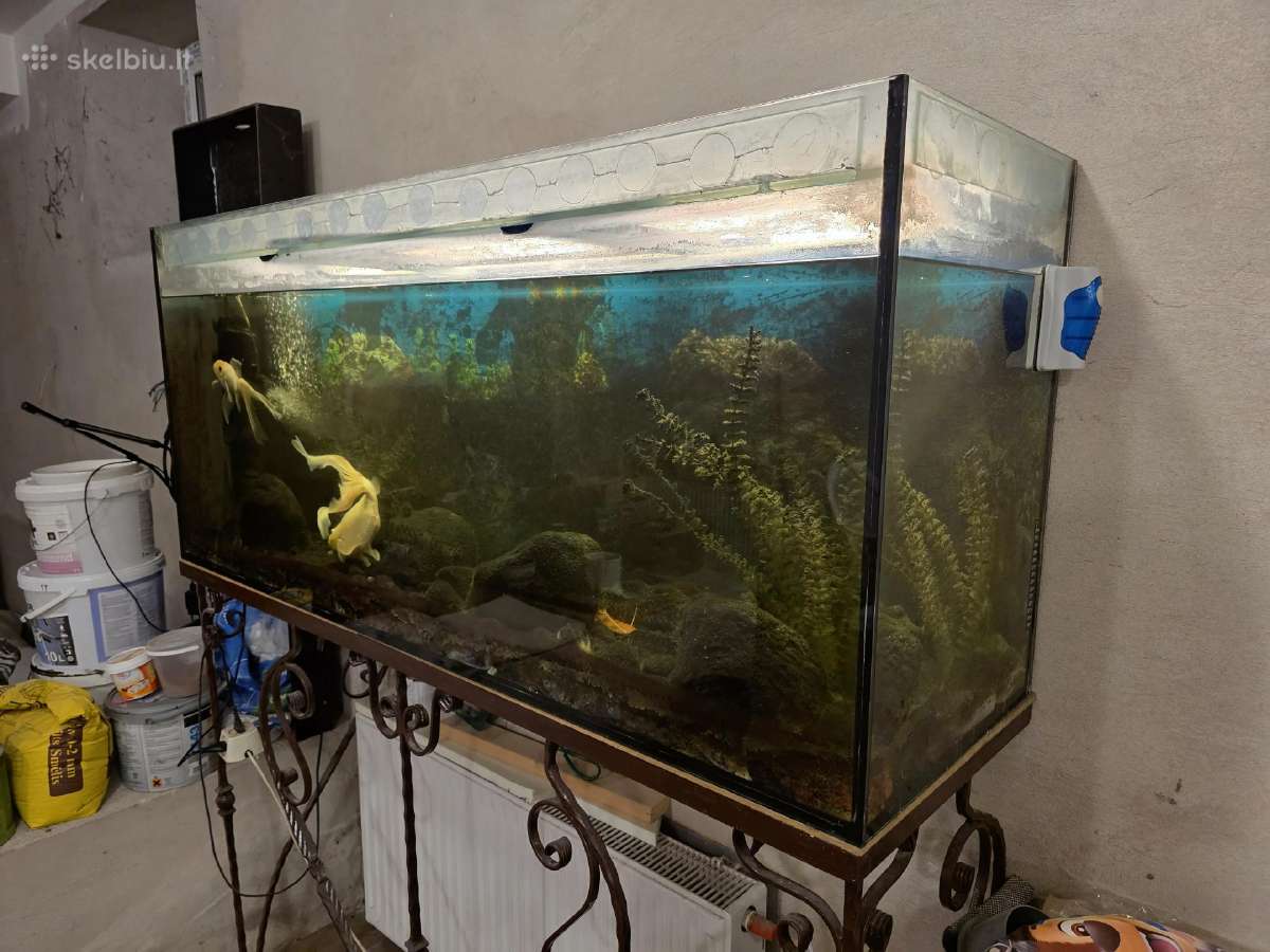 Akvariumas 300 Ltr, stovu ir įranga - nuotraukos Nr. 2