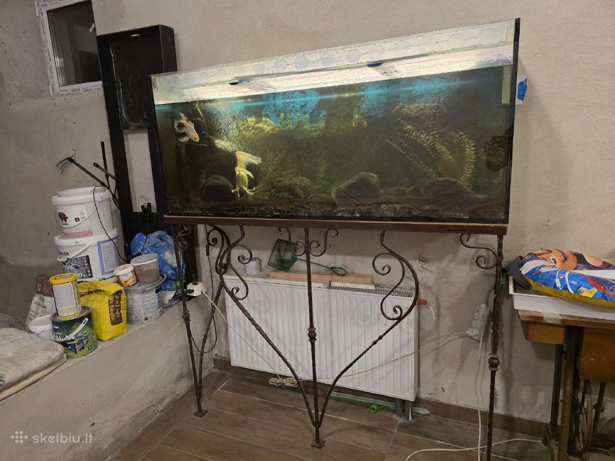 Akvariumas 300 Ltr, stovu ir įranga - nuotraukos Nr. 4