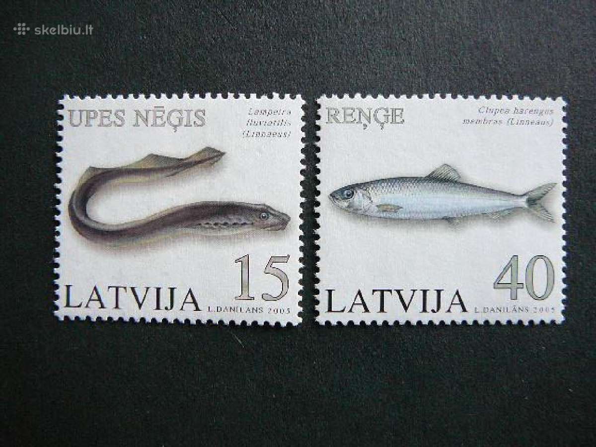 Zuvys Latvija 2005 Mnh lv639