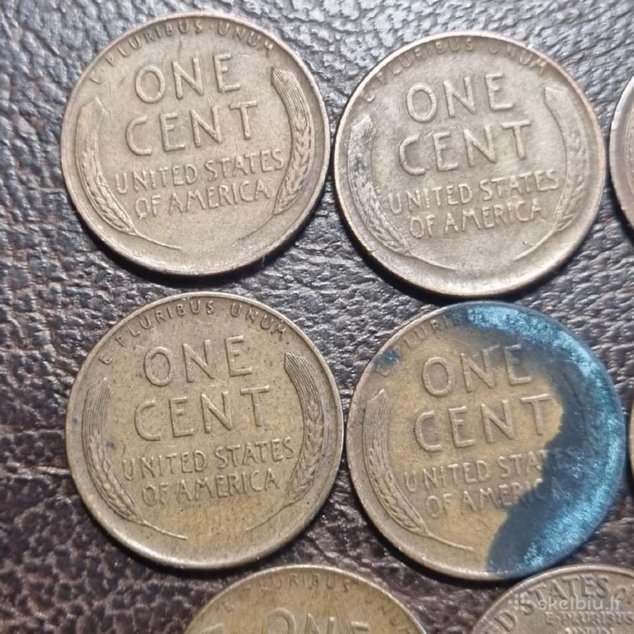 Usa one cents - nuotraukos Nr. 16