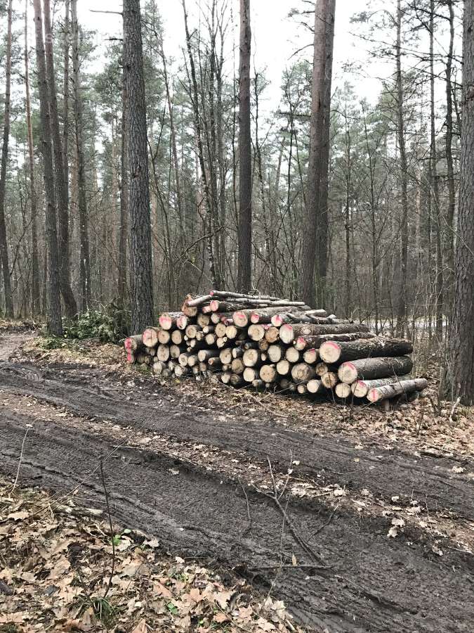 Parduodu sausos beržines malkas ir kitokias - nuotraukos Nr. 6