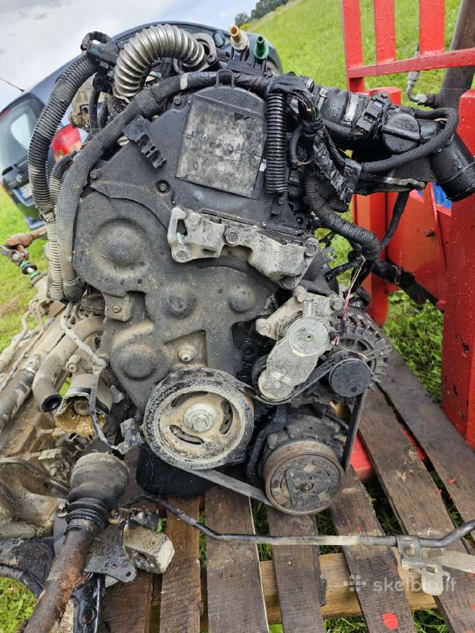 Peugeot 407 dalimis