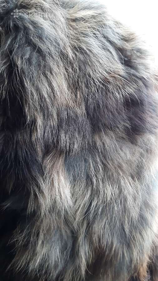 Ilgi lapės kailiniai - nuotraukos Nr. 4