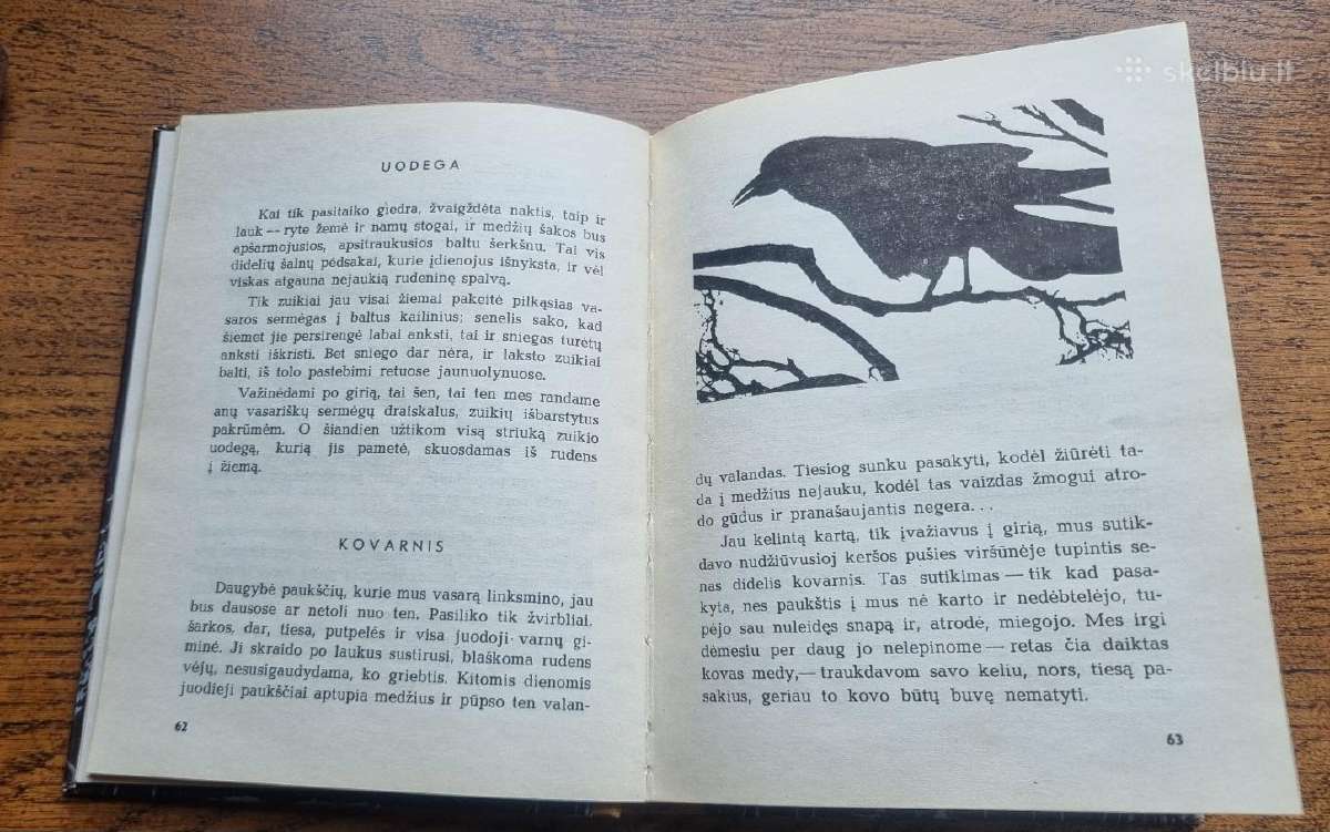 Romas Sadauskas "Mažas girios dienoraštis" - nuotraukos Nr. 3