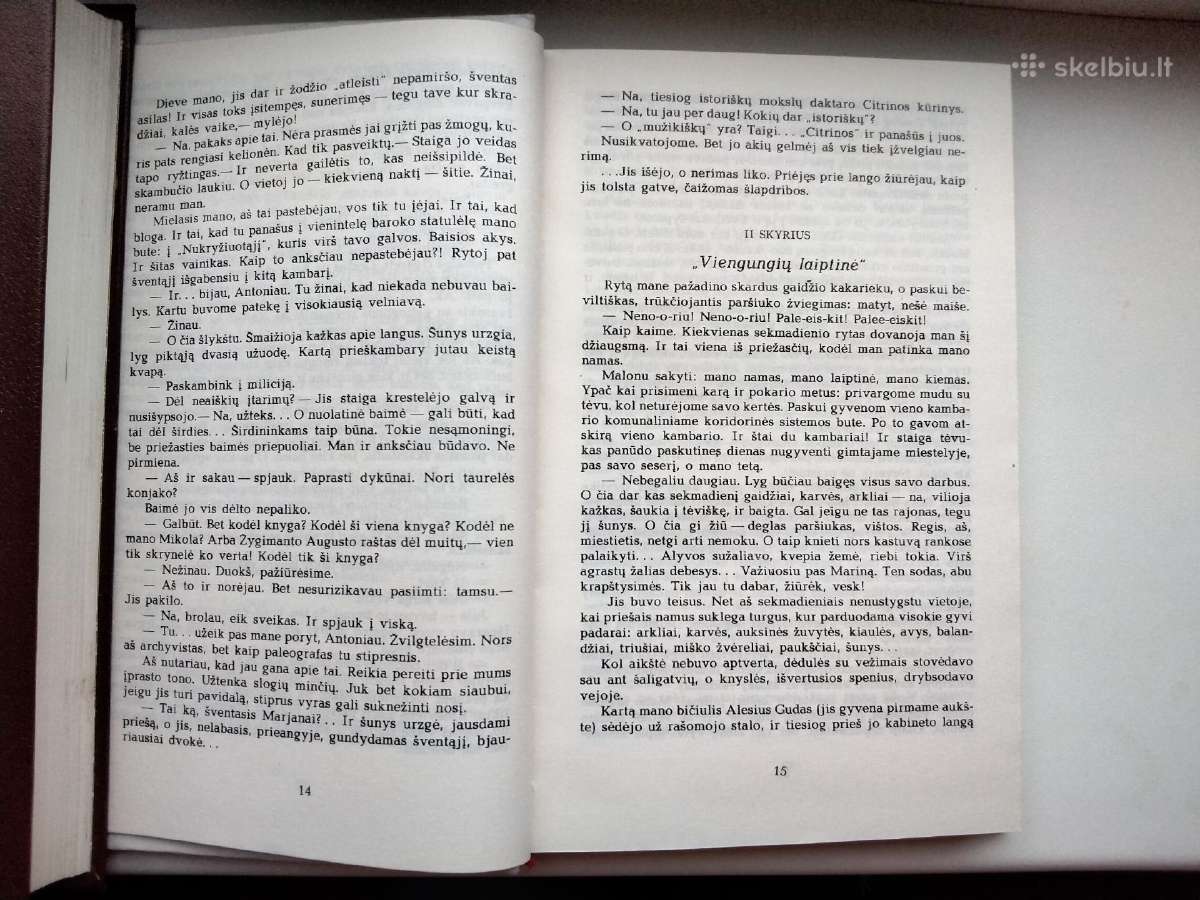 V. Karatkevičius. Alšėnų pilies paslaptis - nuotraukos Nr. 5