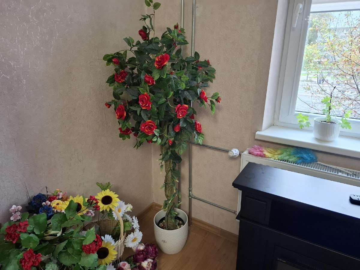 Parduodu dekoratyvine rozes medis