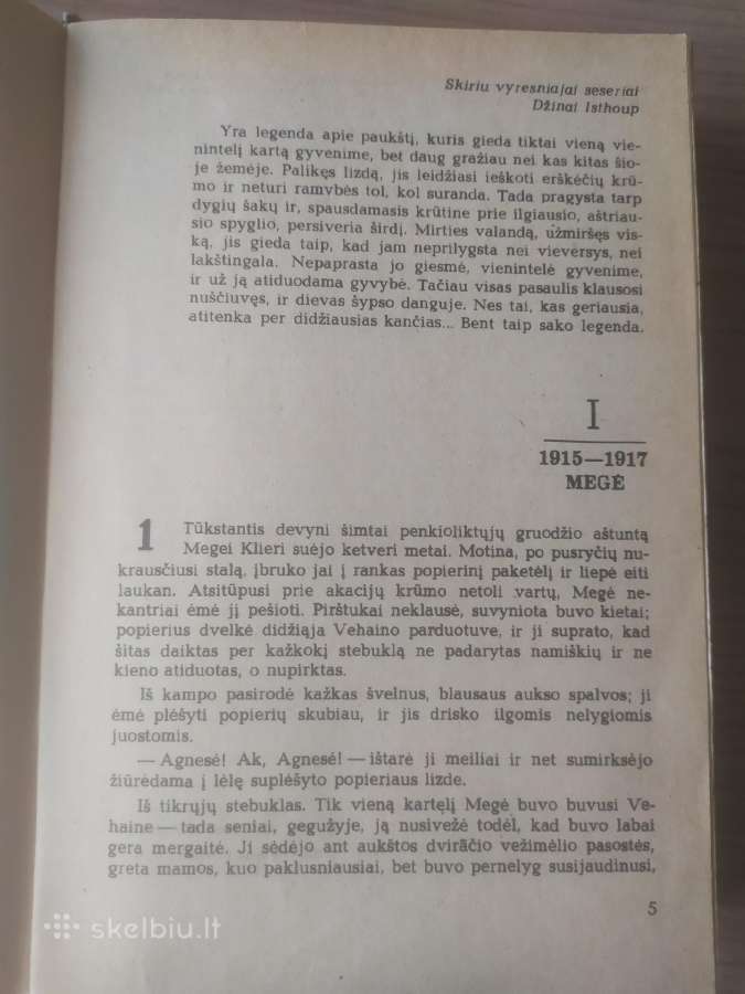Kolina Makalou "Erškėčių paukščiai" - nuotraukos Nr. 11