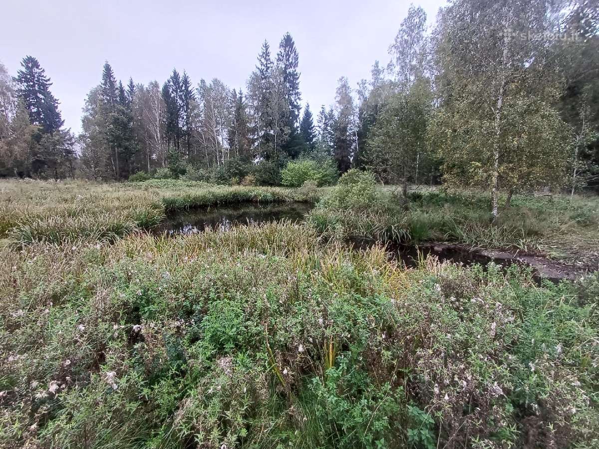 Tvenkinių kasimas,griovimo darbai,kiti žemėsdarbai - nuotraukos Nr. 4