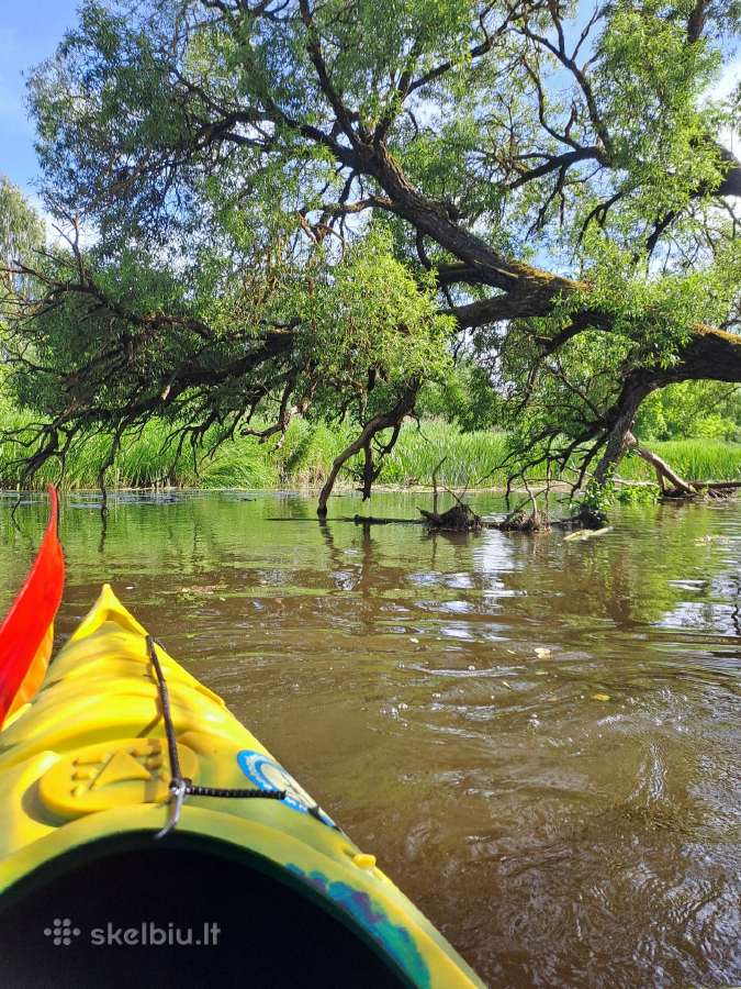 Namelio, salės nuoma jūsų poilsiui - nuotraukos Nr. 16