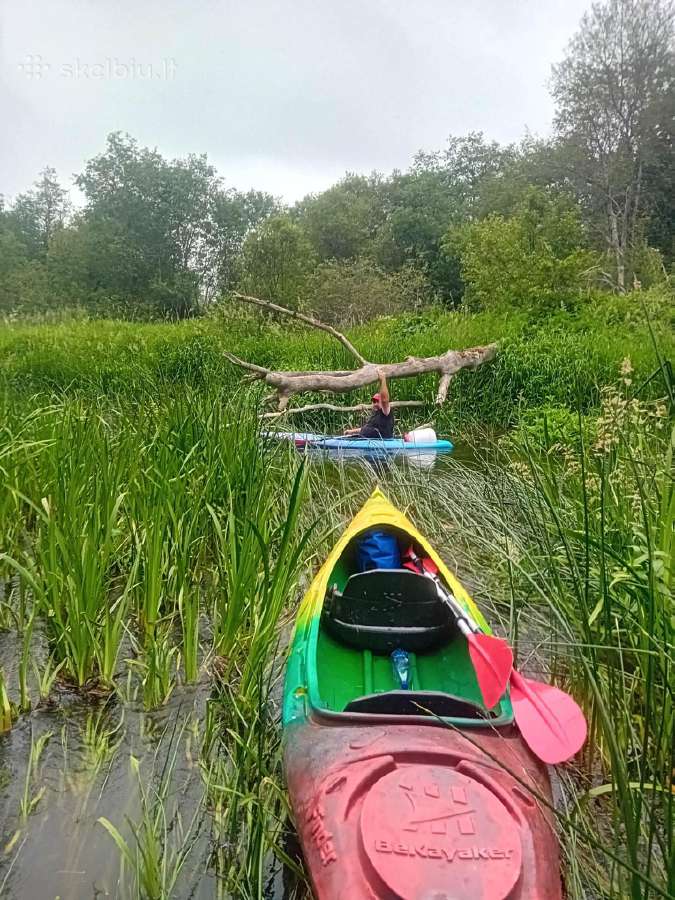 Baidarių nuoma Ventos upe - nuotraukos Nr. 19
